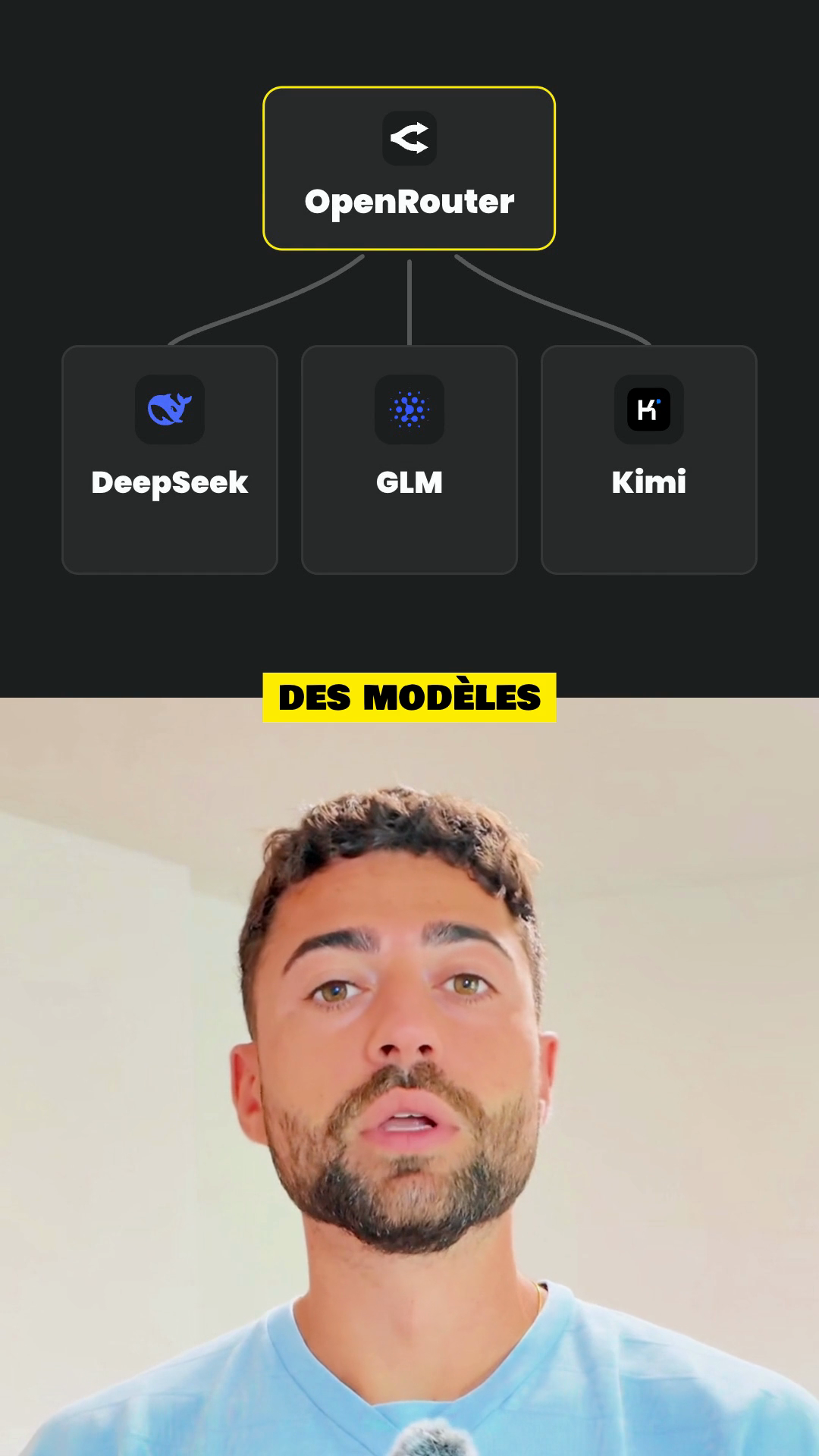Une section en écran scindé : le motion design en haut, mon visage en bas